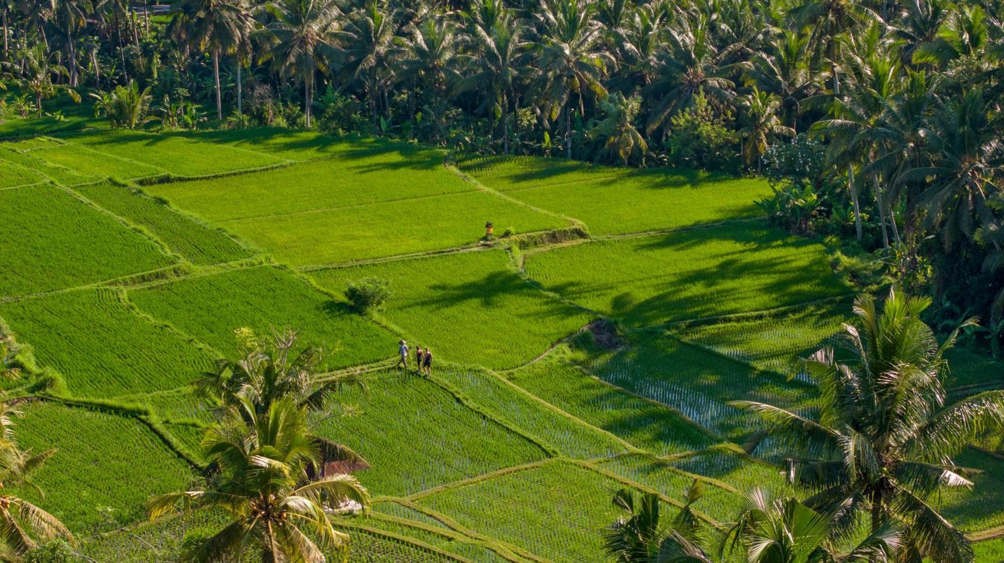 Lasamana Villas Ubud By Pramana Villas Ngoại thất bức ảnh