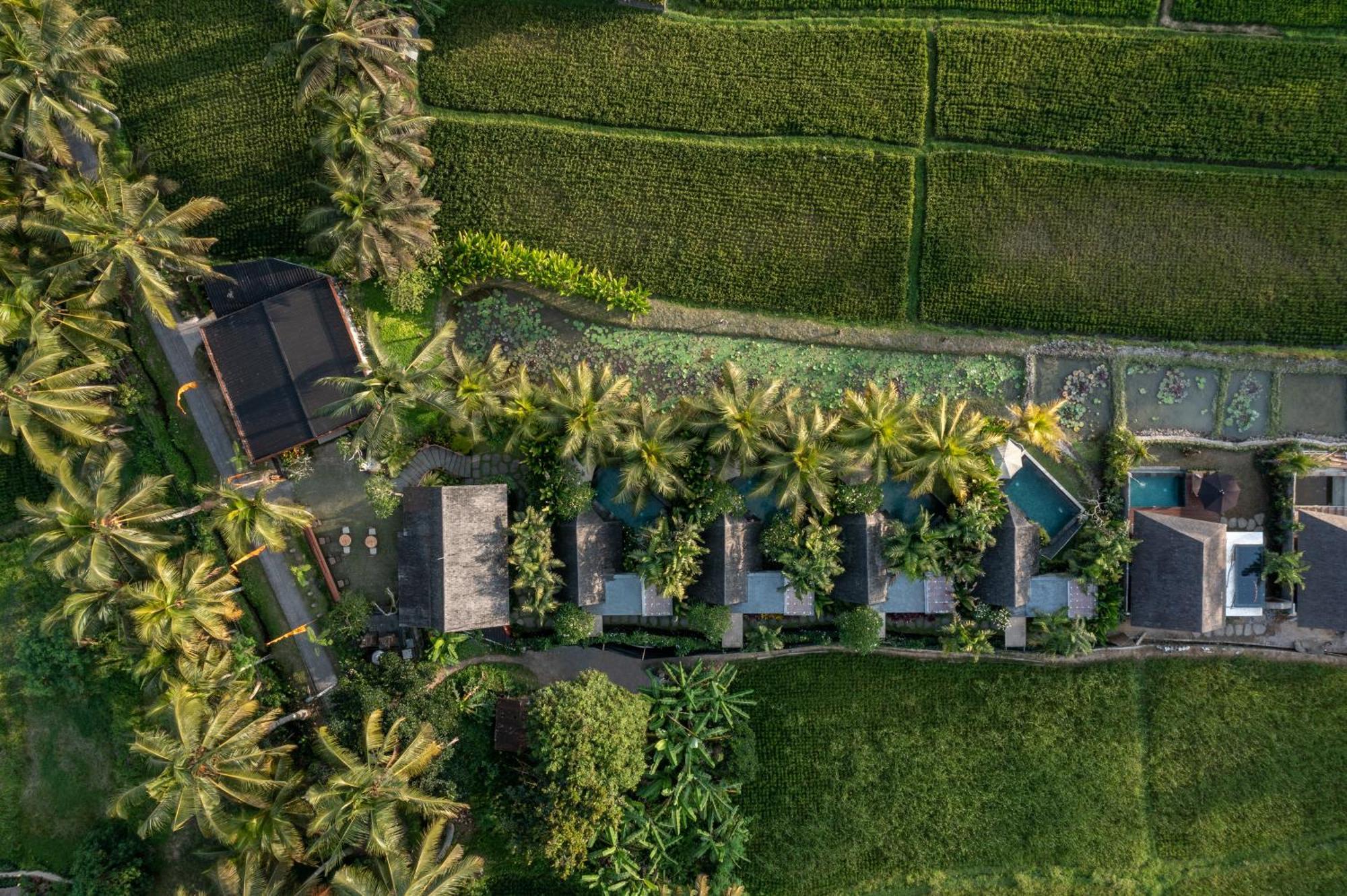 Lasamana Villas Ubud By Pramana Villas Ngoại thất bức ảnh
